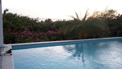 Photos of Caribbean Link