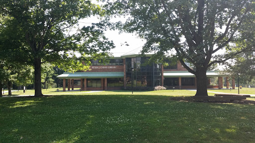 Cayan Library - Visual