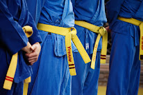 Vovinam Rosny à Rosny-sous-Bois