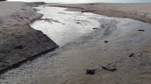 Hahei Beach