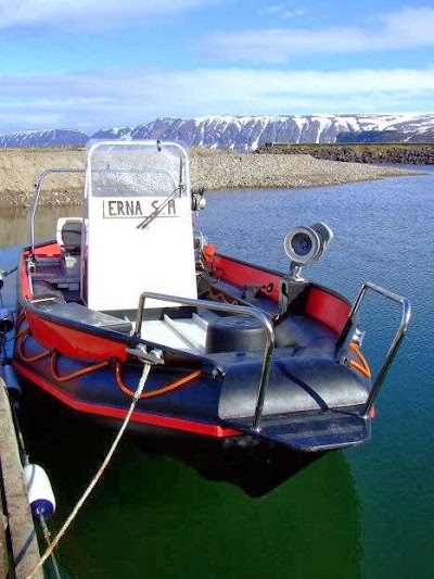 Photos of Arctictourist