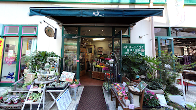 風花 (佐世保の花屋)えきマチ1丁目佐世保店