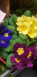 Photo n°12 de Flowers by Y à Saint-Baldoph (Fleuriste)