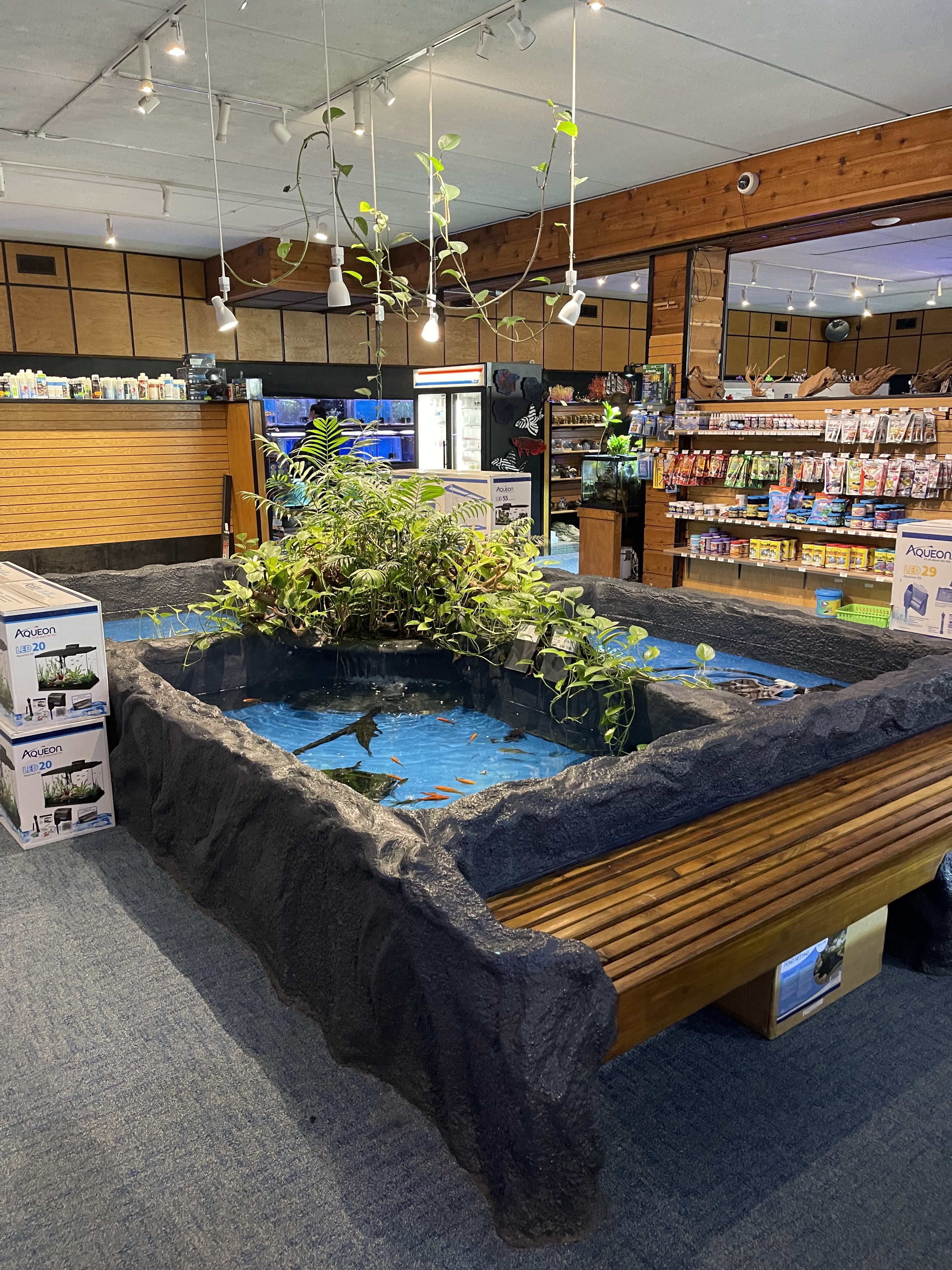 Aquatics Unlimited