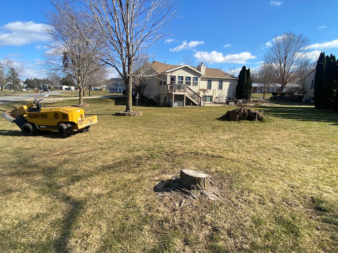 Grind Stump Removal