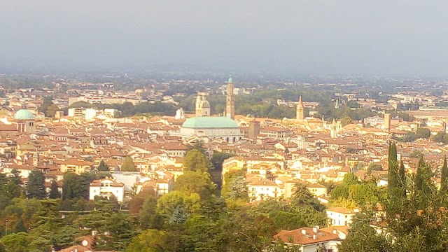 Al Pellegrino