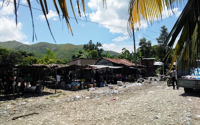 Photos of marche canard Mirebalais