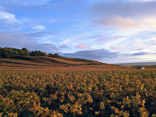 Photo 1 - Cernay-lès-Reims