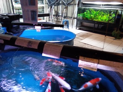 Photos of Gampang Ingat Aquarium