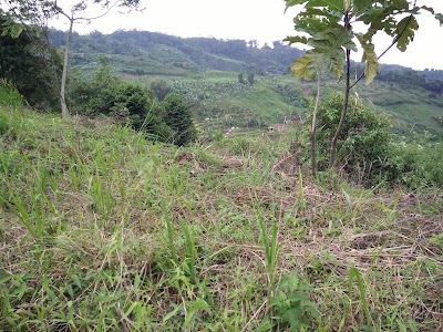 Photos of villa hijau gunung batu