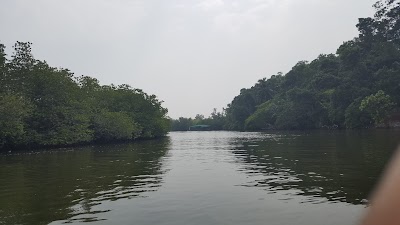 Photos of Madu Ganga Fish Therapy
