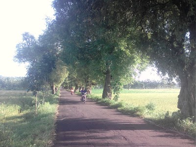 Photos of Sawah mbah tomo