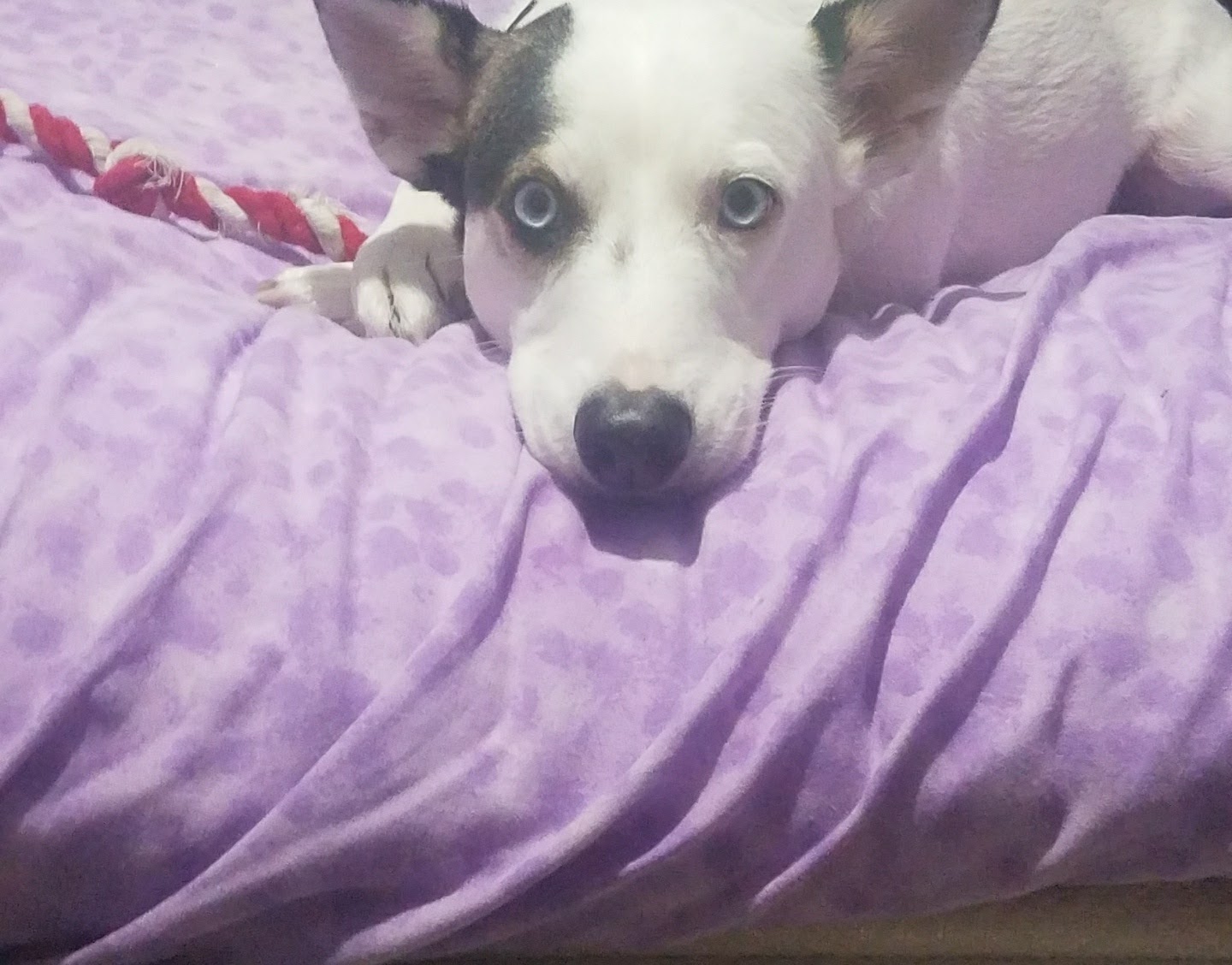 Review photo
