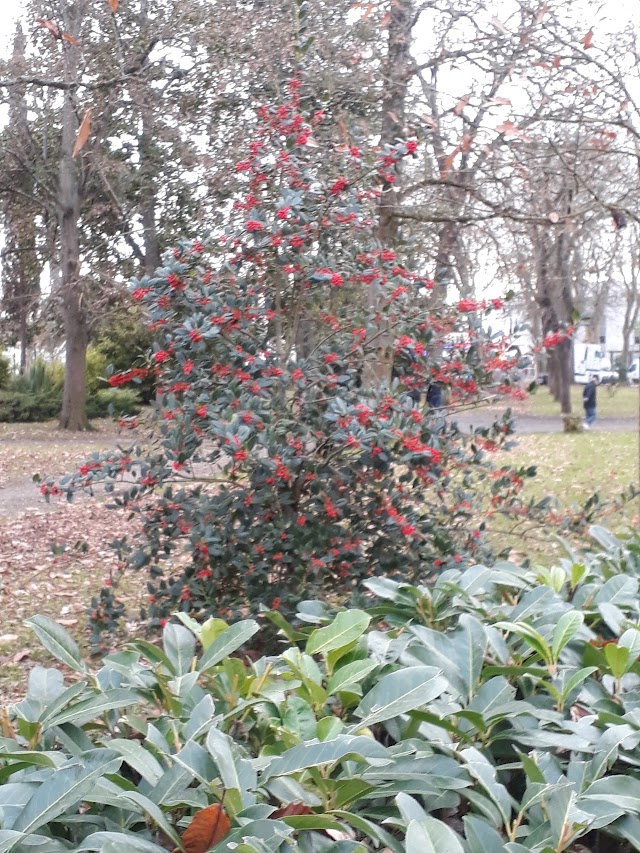 Parc De L'ermitage