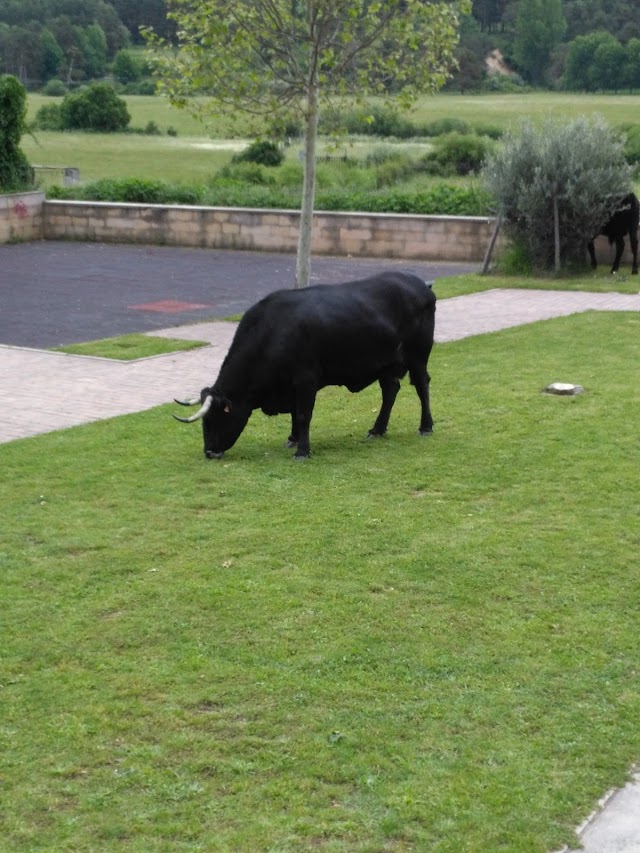 Quintanar de la Sierra