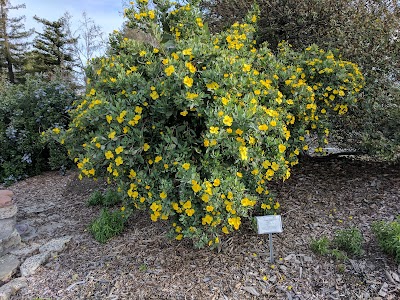 Granada Native Gardens