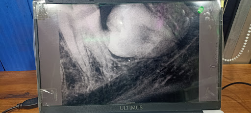 Gallery image 10