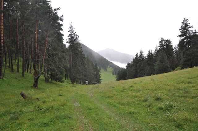Keselo
