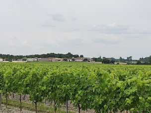 Photo n°10 de La vallée du Né à Salignac-sur-Charente (Gîte)