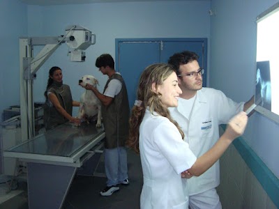 Photos of Guapeka Veterinary Clinic