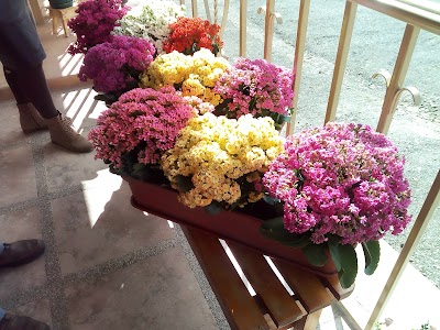 Photos of Racar Plaza