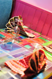 Photo n°8 de Le Taj Mahal à Besançon (Restaurant pakistanais)