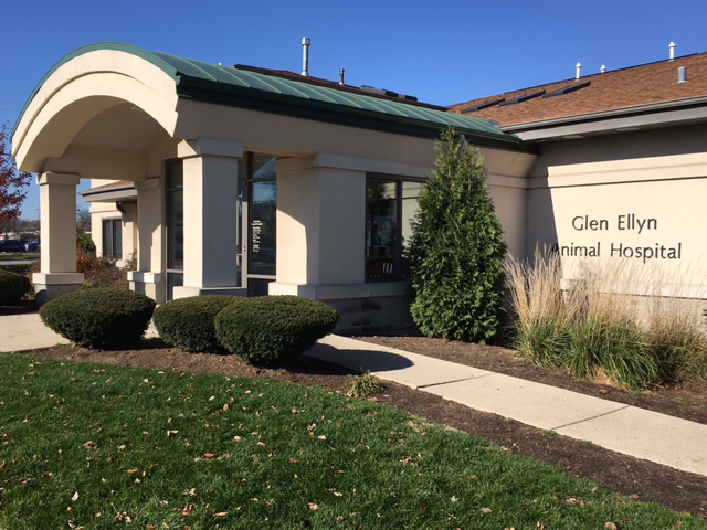 Glen Ellyn Animal Hospital