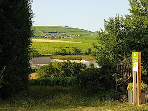 Photo n°32 de HAPPY Petit Senais Sancerre 3 grands Gîtes 37Pers 13Chambres Piscine à Crézancy-en-Sancerre (Maison de vacances non-fumeurs)