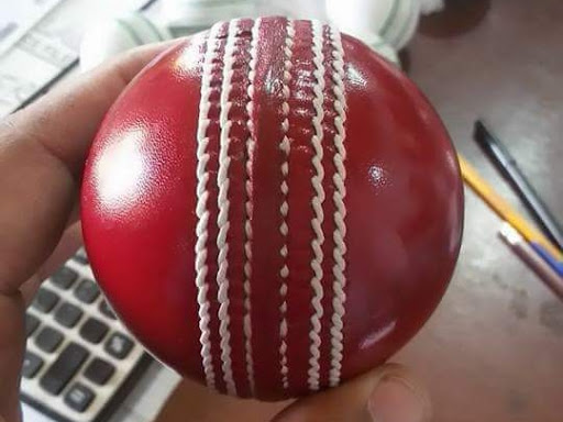 English Willow Cricket Bat for professional cricket players & World class cricket balls Manufactu… post image