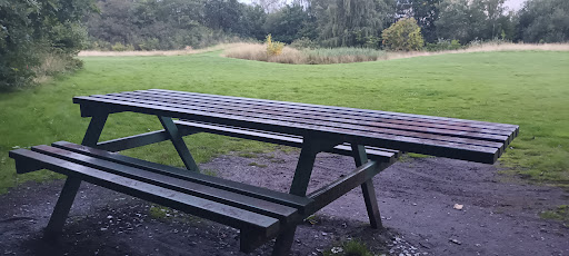 Old Golfers