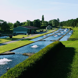 Photo n°9 de Pisciculture Rein Philippe à Biesheim (Éleveur)