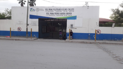 PRIMARIA PLUTARCO ELIAS CALLES - Thumbnail