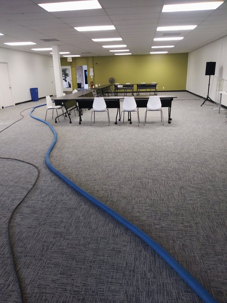 Walker's Steam Carpet And Upholstery Cleaning INC