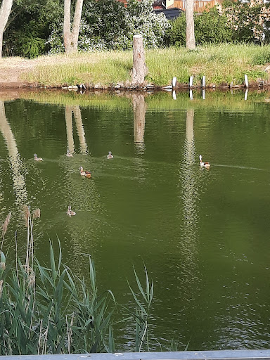 Hagenteich