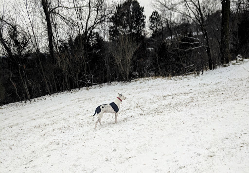 Red Wing AP Anderson Soccer Fields - Thumbnail