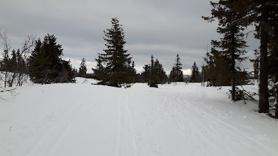 Photos of Vatle Lodge