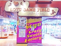 ソユーゲームフィールド 菖蒲店