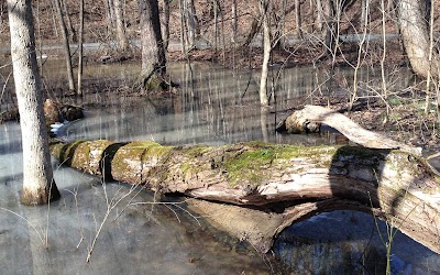 Brookville Preserve