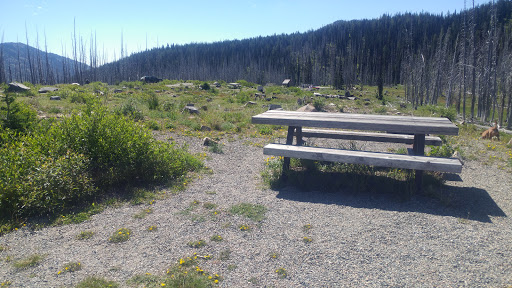 Meadows Campground Logo