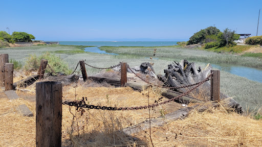City of Burlingame Shorebird Sanctuary
