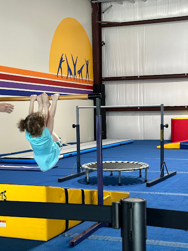 Waves Gymnastics - Visual
