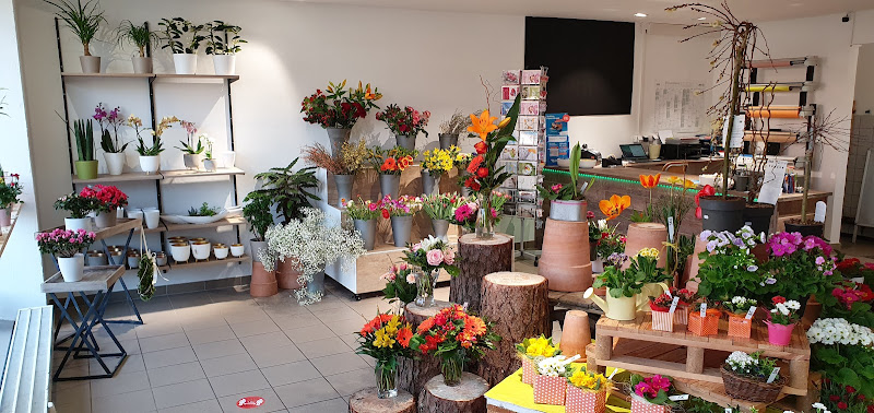 Gelis Blumenzauber photo