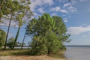 Photo n°20 de Camping Bel Air Village le Lac de Cazaux à Cazaux (Terrain de camping)