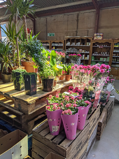 George's Garden - Thumbnail