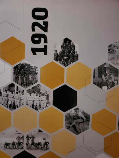 The Nest, A Taste of Spirit at the ASU Stadium - Thumbnail