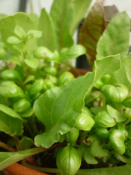 Photo n°6 de Du Bon dans le Pré à Forléans (Ferme d'élevage)