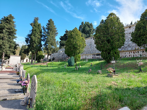 Cimitero Ferentino - Thumbnail