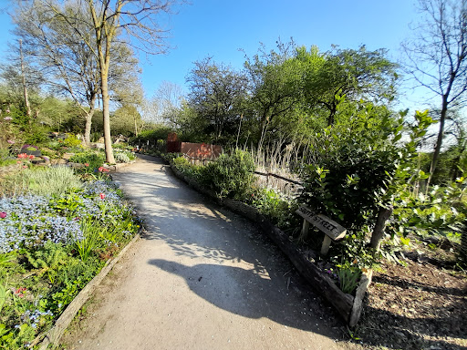 Peter Rabbit Woodland Trail - Langdon Nature Discovery Park - Thumbnail