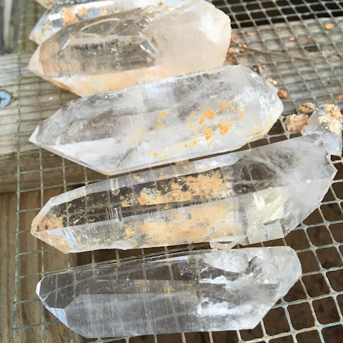 The Crystal Garden by null