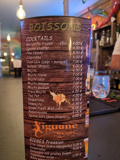 Photo 1 - Iguane Tex Mex
